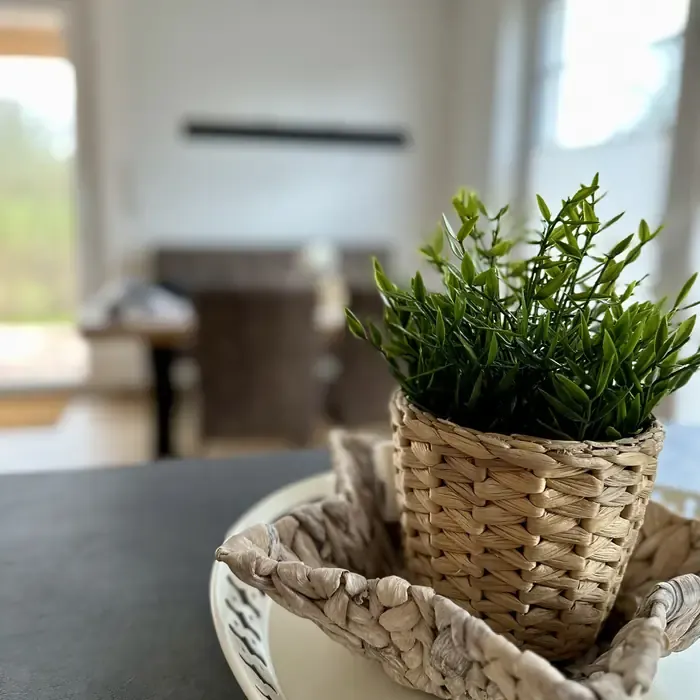 Ferienhaus KiteZeit in Pepelow, Ansicht 7